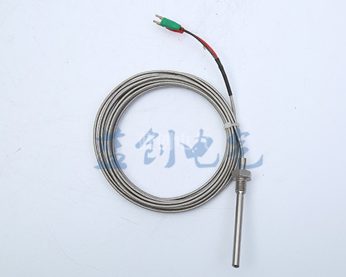 專業熱電偶