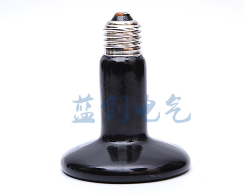 陶瓷加熱器.jpg